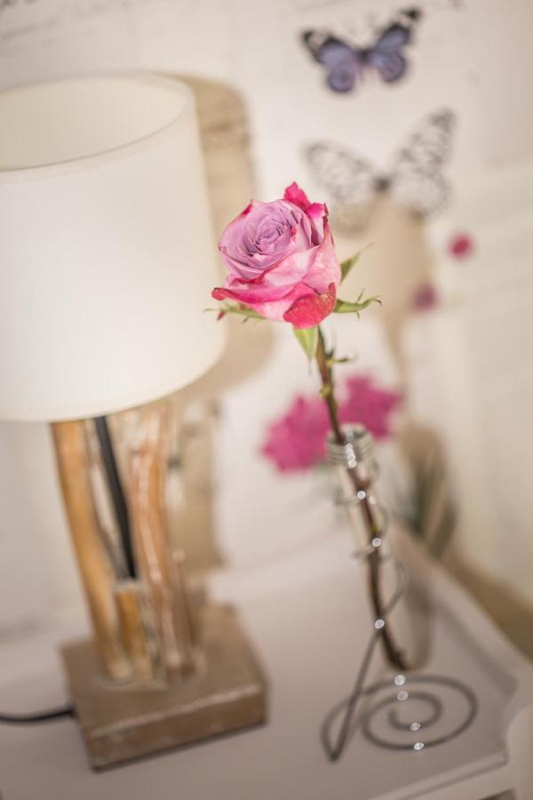 Escolives-Sainte-Camille Entre Canal Et Vignes Bed & Breakfast エクステリア 写真