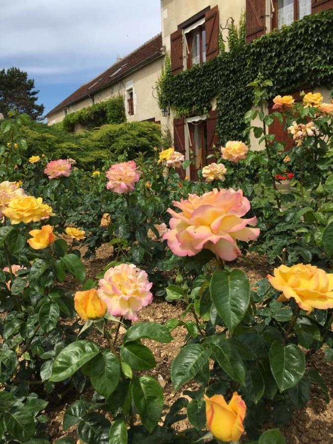 Escolives-Sainte-Camille Entre Canal Et Vignes Bed & Breakfast エクステリア 写真
