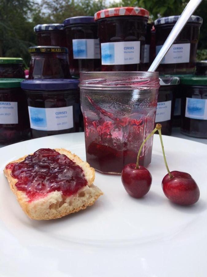 Escolives-Sainte-Camille Entre Canal Et Vignes Bed & Breakfast エクステリア 写真